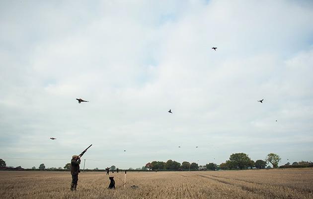 Clayshooting